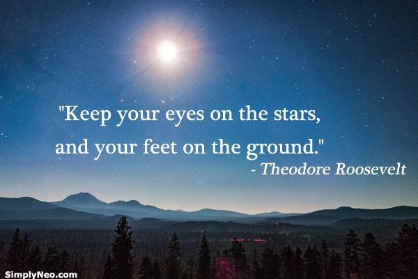Keep your eyes on the stars, and your feet on....- Theodore Roosevelt